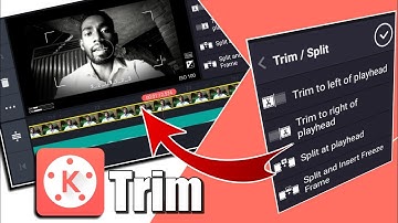 How to Edit Videos in Kine Master   Trim , Split, Extract Audio , Insert Freez Frame   In Hindi