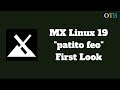 MX-19 "patito feo" - First Look