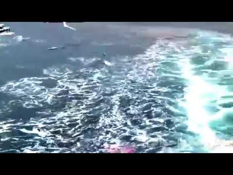 يا طير وطاير فوق في العلالي