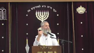 הרב תמיר גרנות | ימי עיון בזוגיות ומשפחה | פרשת עריות ומהות המשפחה בישראל