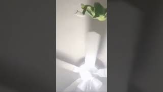 R.i.p Kermit Da Frog