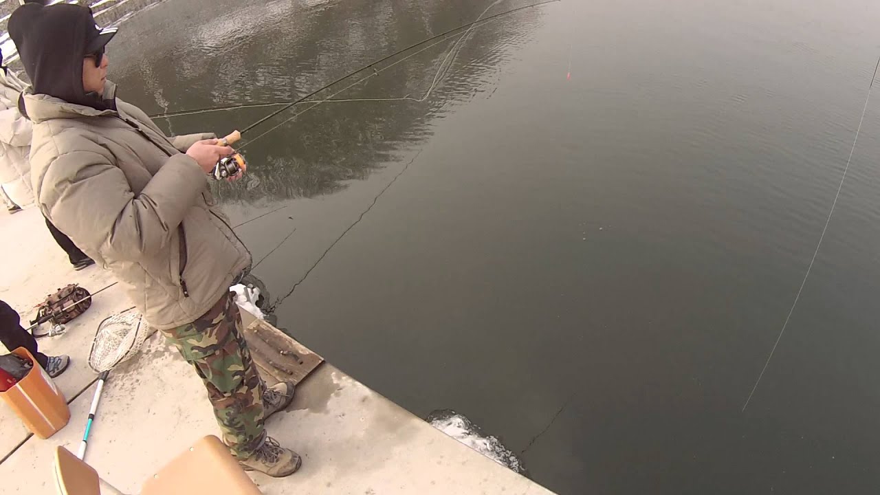 원당지 송어 스푼 낚시 6th Trout. Fishing Korea GoPro YouTube