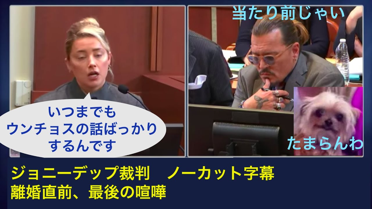 デップ裁判16日目 アンバー ハード 主尋問 5 最後の決闘 Youtube