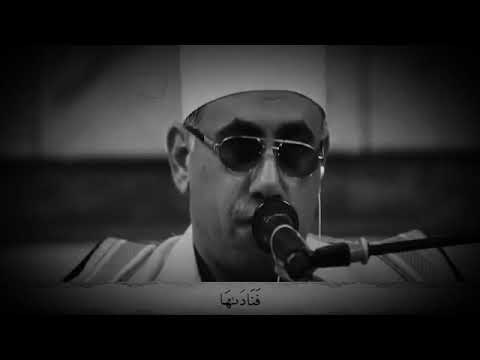 فناداها من تحتها الا تحزني للقارئ عبد الناصر حرك اسطورة المقامات