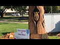 Man uses chainsaw to carve a 13-foot tree sculpture in Highland