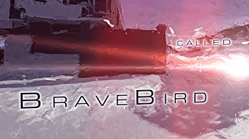 Entry #43: BRAVE BIRD by sEnTUiviR [MN Contest #3] [CoD4]