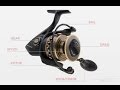 How a Spinning Reel Works