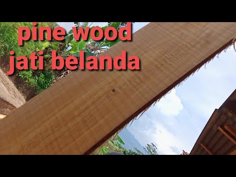 Video: Papan Buasir Pinus: Papan Sisi Kayu Padat Untuk Kotej Dapur Dan Musim Panas, Kabinet Pinus Di Pelbagai Bahagian Dalam