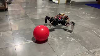 spider robot playing red ball