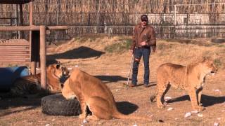 Joe Exotic's Presidential Video Message  Day 90