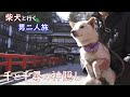 柴犬と行く男二人旅！千と千尋の神隠しの舞台を見てきました【ジブリ】