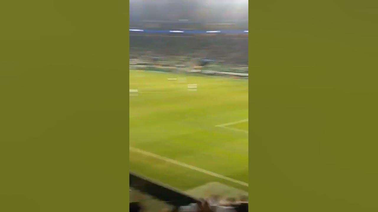 Eu sou Palmeiras, sim senhor. E bebo todas que vier. Eu canto o meu porco. Meu único amor! 💚🤍 Eu sou Palmeiras, sim senhor. E bebo todas que vier. Eu canto o meu porco. Meu único amor! 💚🤍