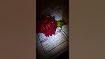 بعدستي😉سورة الشرح😗حالات واتس اب🧡بصوت ياسر الدوسري حفظه الله 🌿💜
