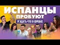 Испанцы пробуют угадать, что в коробке