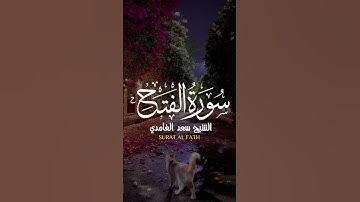 سعد الغامدي سورة الفتح Saad Alghamidi Surat Al Fath