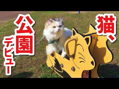 初めての公園で猫がとんでもない事になりました【関西弁でしゃべる猫】