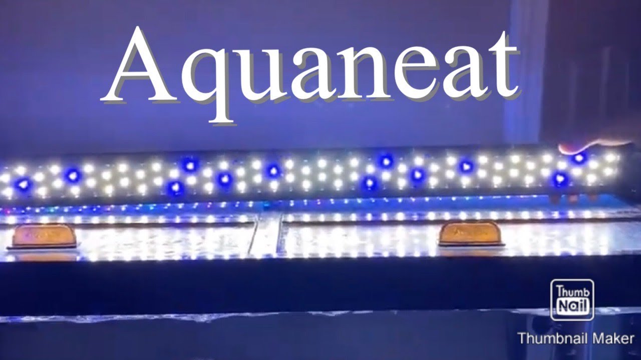 aquaneat led