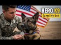 US Army Captain Honors Hero K9 Who Saved His Entire Unit /Military rescue mission 
