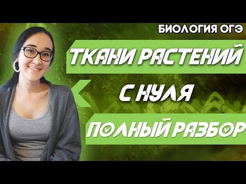 Видео: Каковы 3 основные меристемы?