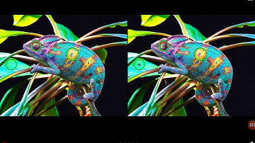 Find the Difference Level 157