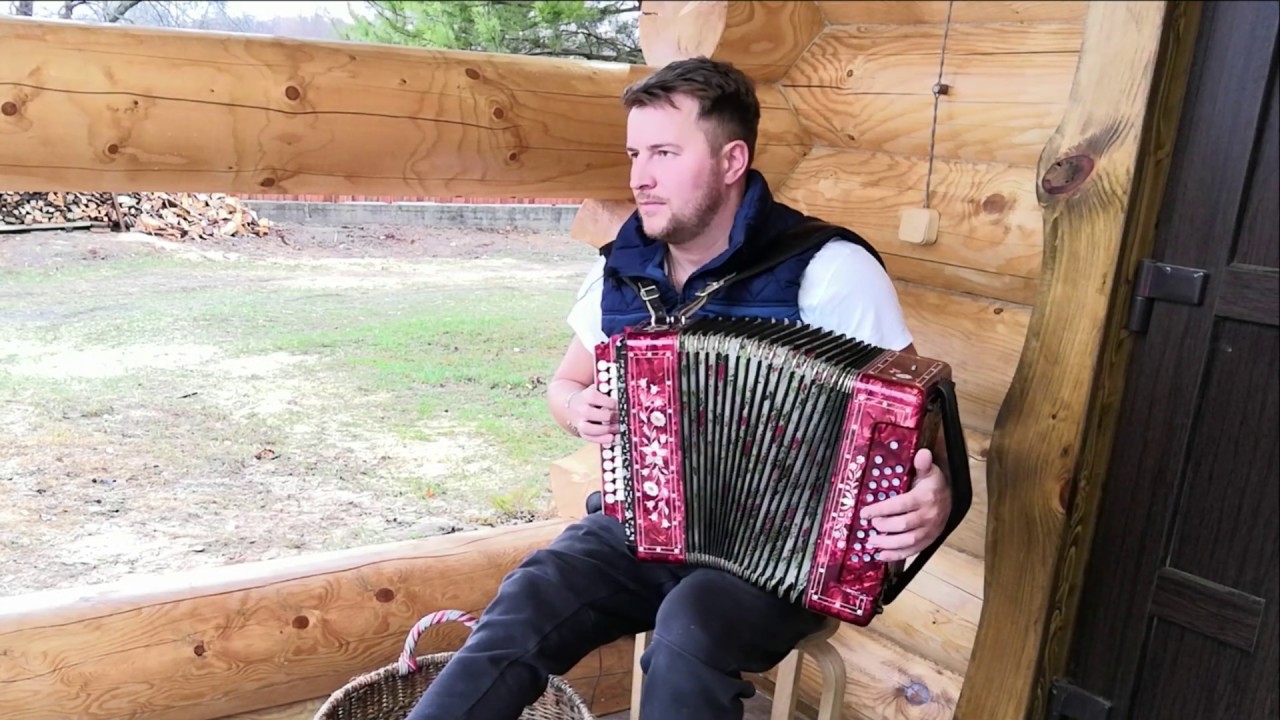 расцвела сирень черемуха в саду песня. расцвела сирень черемуха в саду. сирень гармонь. ах, черёмуха,черёмуха. гармонь черемуха.