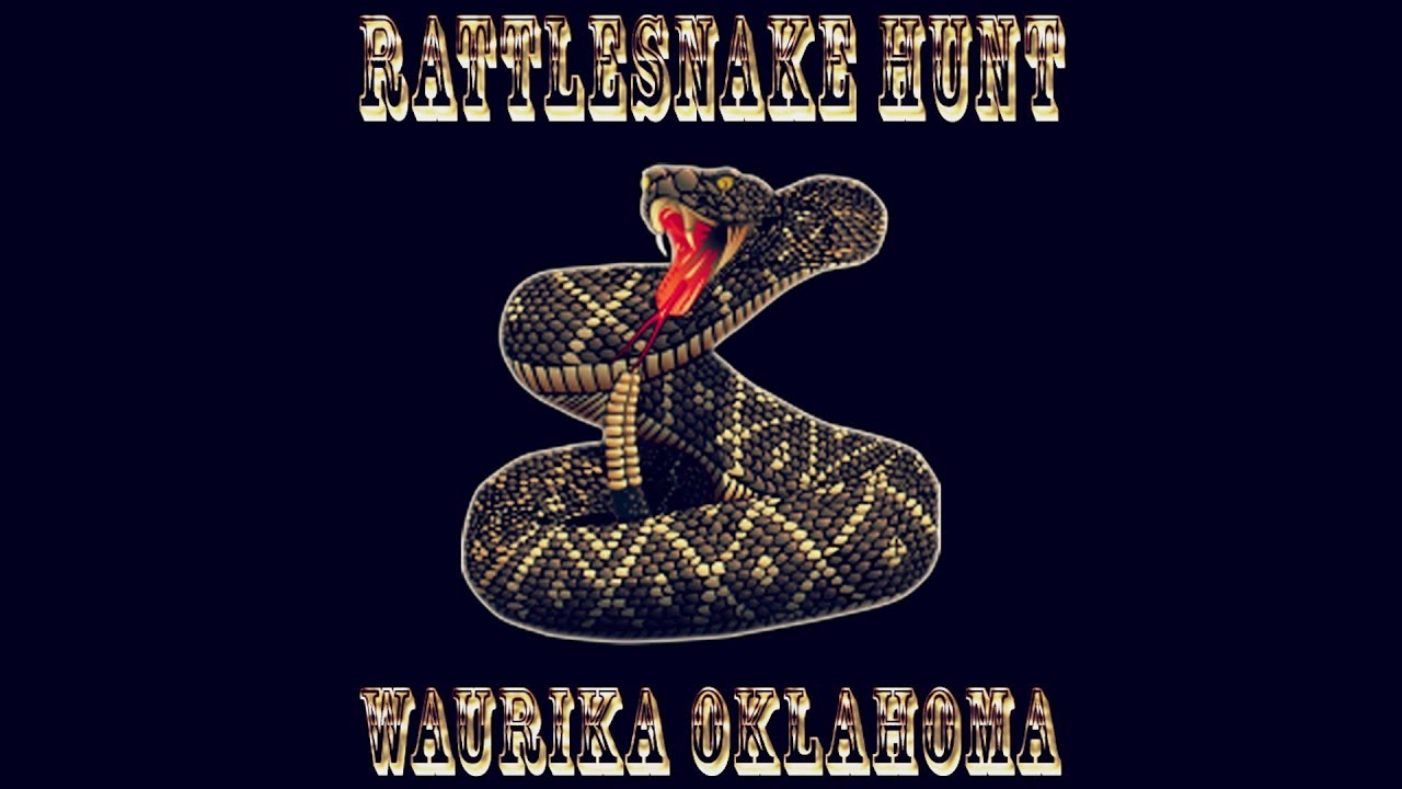 Waurika Rattlesnake Festival YouTube