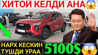 :    5100$       2025