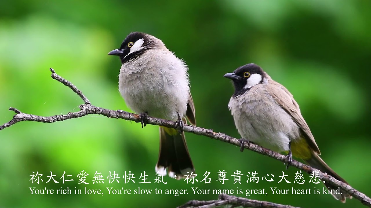 好牧者聖歌隊 Good Shepherd-TPC Choir 2021 04 18 Anthem 謳咾主我心靈 GSTPC choir