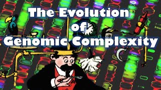 The Evolution of Genomic Complexity