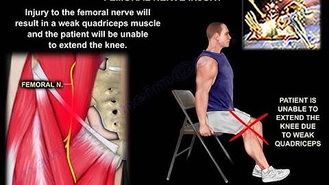 Nerve Injuries - Everything You Need To Know - Dr. Nabil Ebraheim