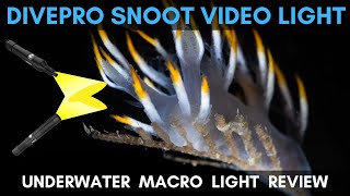 The BEST Underwater Snoot Video Light // DivePro Snoot Light Review