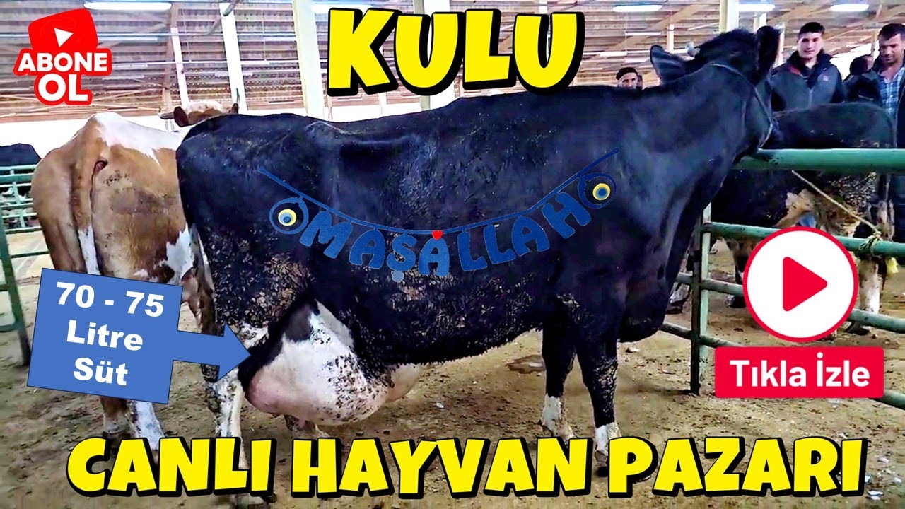KULU CANLI HAYVAN PAZARI 4 NISAN 2025, LIVE ANIMALS MARKET