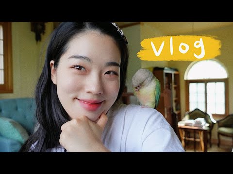 #150 Vlog I 대학 친구 만남 I 핏 컨설팅 후기 I 앵무새 용품 I 집밥 I 김갈릭