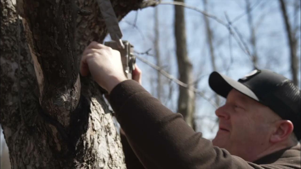 Jeff Sturgis REVEALs How to Attract Deer Using Mock Scrapes YouTube