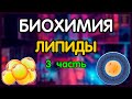 Биохимия. Лекция 57. Липиды. Обмен триацилглицеролов и фосфолипидов. Окисление жирных кислот