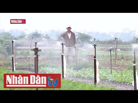 Video: 9 loại hình nền hiện đại