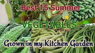 Best 15 Summer Vegetables Grown in my Kitchen Garden