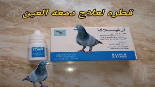 قطره لعلاج دمعه العين عند الحمام