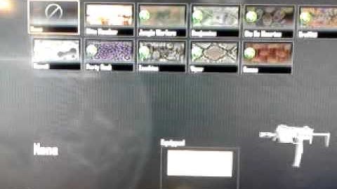 BLACK OPS 2 1.09 UPDATE CAMOS