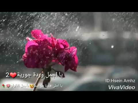مجيد الرمح بنص شباط
