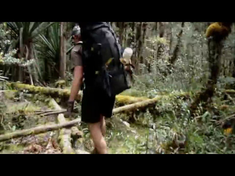 Trekking Papua Zachodnia