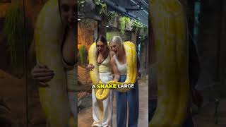 Ranking insane creatures in real life 😆