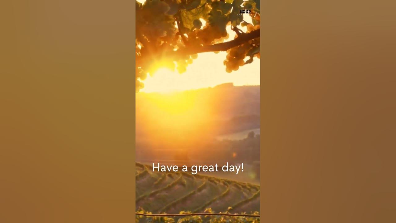may-your-day-be-blessed-sompararelaxar-foryou-youtube