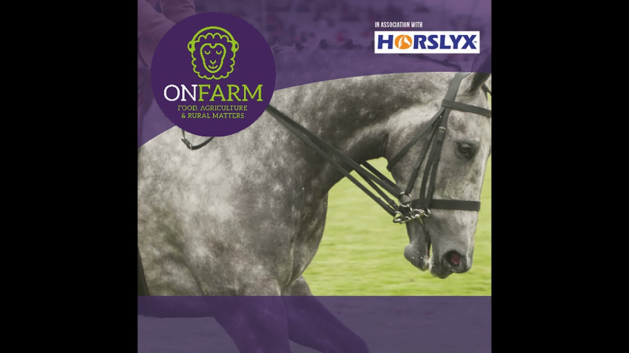 Equine Grass Sickness: updating The Moredun's search for a cure