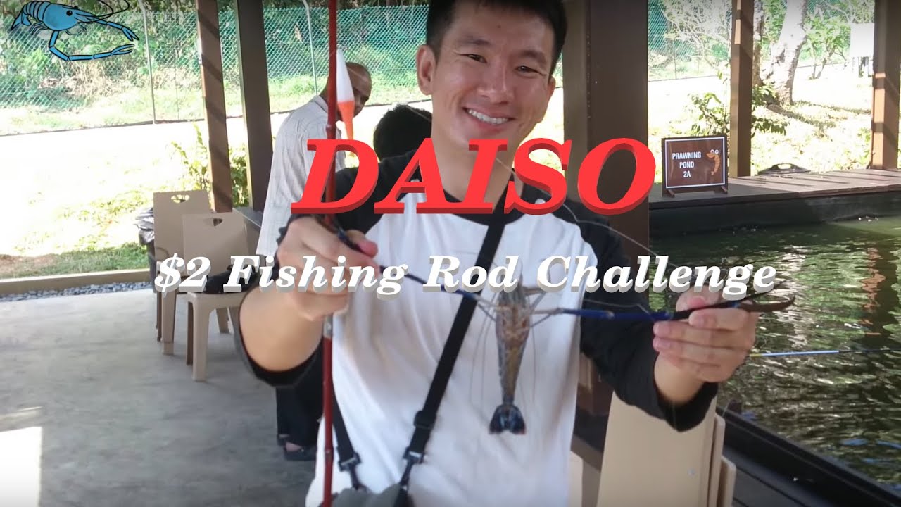 Singapore Prawning - Daiso $2 Rod Challenge 