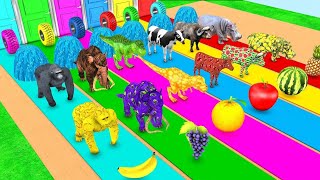 elephant racing round Gorilla, Elephant, Dinosaur, Wild Animals Crossing Fountain Game