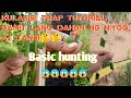 Trap tutorial for wild parrot traditionaltrap kosi kulasisi wildparrot