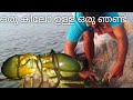 ഒരു ഞണ്ട് പിടിച്ച കഥ !a crab hunting