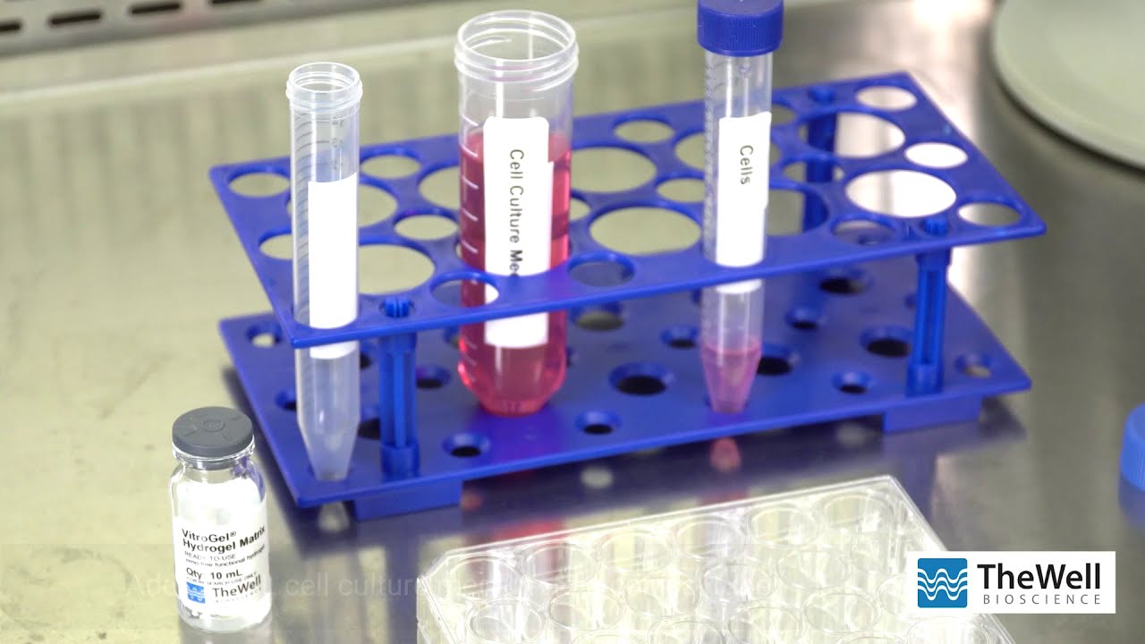 2D Coating Cell Culture Protocol - VitroGel Ready-To-Use Hydrogels