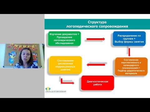 Вебинар: Реализация АООП на занятиях у учителя-логопеда и учителя-дефектолога